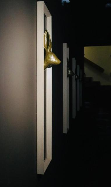 Casa Coelho Guesthouse Coimbra Dış mekan fotoğraf